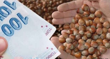 Giresun’da Üreticilere Önemli Uyarı: ÇKS Başvuruları İçin Son Gün Yaklaşıyor! Son Başvuru Tarihi Ne Zaman?