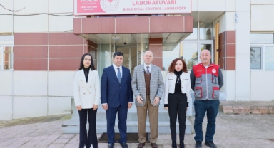 Giresun Valisi Serdengeçti, Fındık Zararlılarıyla Mücadele Çalışmalarını İnceledi