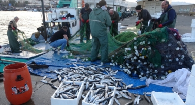 Palamut, hamsi, istavrit ve mezgitin ardından bu kez de kefal bereketi yaşanıyor