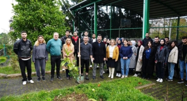 Piraziz'de yeşil gelecek için fidan dikildi: Başkan Ayyıldız gençlerle birlikte doğa için adım attı