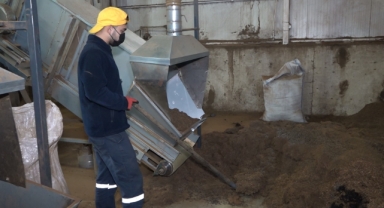 Rize'deki Çay Atıkları Yeniden Değer Kazanıyor: Organik Gübre ve Mangal Kömürü İhracatına Başlandı