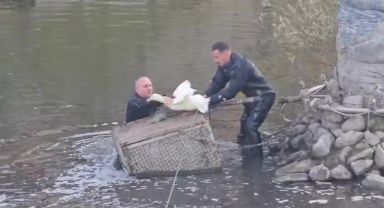 Tokat'taki ördeği, Amasya’daki itfaiyeciler kurtardı!