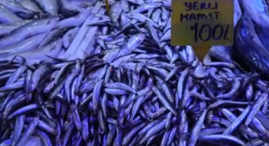 2024’te 200 TL olan hamsi 2025'te 100 TL’den satılıyor