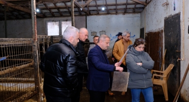 Bulancak'ta Sıkı Denetim: Çevre ve Hayvan Sağlığı Ön Planda
