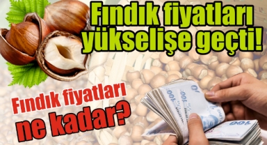 Fındık fiyatları yükselişe geçti! Fındık fiyatları ne kadar?