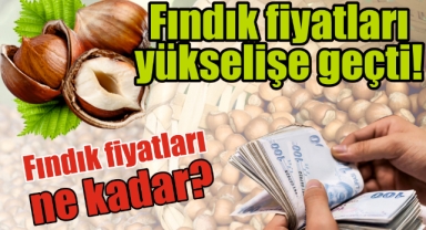 Fındık fiyatları yükselişe geçti! Fındık fiyatları ne kadar?