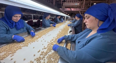 Fındık İhracatında Dönemsel Rekor