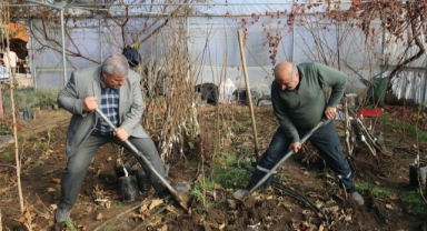 Fındık Üreticileri İçin Devrim Niteliğinde Çözüm: Tokatlı Emekli Ziraat Mühendisi Aşılı Fidan Üretiyor