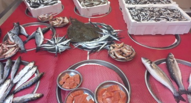 Giresun'da 100 liraya da 1.500 liraya da balık var! Balık fiyatları ne kadar?