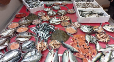 Giresun'da 100 liraya da 1.500 liraya da balık var! Balık fiyatları ne kadar?