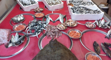 Giresun'da balık fiyatları bugün ne kadar?