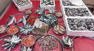 Giresun'da balık fiyatları bugün ne kadar?