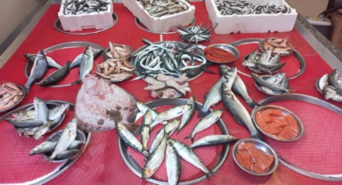 Giresun’da balık fiyatları bugün ne kadar?