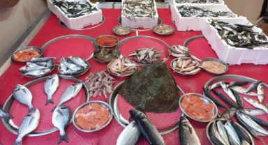 Giresun'da balık fiyatları bugün ne kadar?