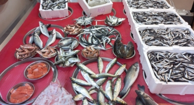 Giresun'da balık fiyatları bugün ne kadar?