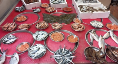 Giresun'da balık fiyatları bugün ne kadar?