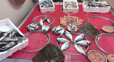 Giresun'da balık fiyatları bugün ne kadar?