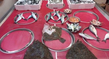 Giresun'da Balık Fiyatları Bugün Ne Kadar? Hamsi Kaç TL?