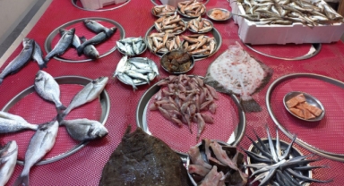 Giresun'da Balık Fiyatları Bugün Ne Kadar? Hamsi Kaç TL?