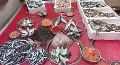 Giresun'da Balık Fiyatları Bugün Ne Kadar? Hamsi Kaç TL?