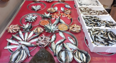 Giresun'da Balık Fiyatları Bugün Ne Kadar? Hamsi Kaç TL?