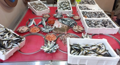 Giresun'da Balık Fiyatları Bugün Ne Kadar? Hamsi Kaç TL?