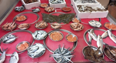 Giresun'da balık fiyatları kaç TL?