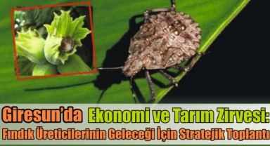 Giresun’da Ekonomi ve Tarım Zirvesi: Fındık Üreticilerinin Geleceği İçin Stratejik Toplantı