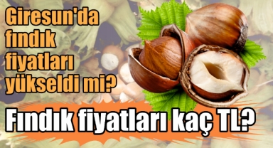Giresun'da fındık fiyatları yükseldi mi? Fındık fiyatları kaç TL?