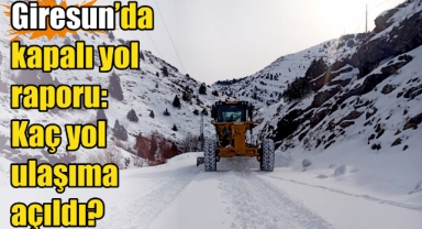 Giresun’da kapalı yol raporu: Kaç yol ulaşıma açıldı?