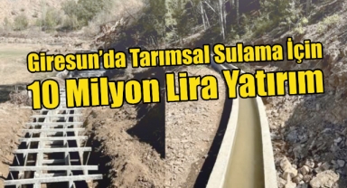 Giresun’da Tarımsal Üretim Artıyor: 10 Milyon Liralık Sulama Projeleri Tamamlandı
