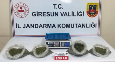 Giresun'da Uyuşturucu Operasyonu: 2 Kilo Esrar Ele Geçirildi