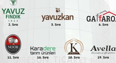 Giresun Fındık İhracatına Damga Vurdu: 942 Milyon Dolar Gelir