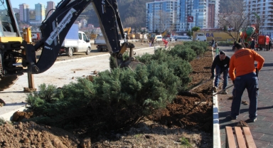 Giresun’un Çehresi Yenileniyor: Doğupark’ta Ağaçlandırma Çalışmaları Sürüyor