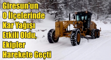Giresun'un O İlçelerinde Kar Yağışı Etkili Oldu, Ekipler Harekete Geçti