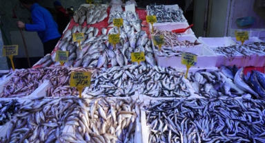 Karadeniz'in O İlinde Mezgit ve İstavrit Bolluğu: Kilosu 70 TL’den Satılıyor