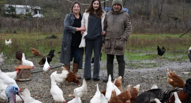 Ordu'da Çiftlik Kurdu, Ailesiyle Birlikte Doğal Ürün Üretiyor