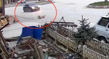 Otomobiliyle köpeğe çarptı, umursamadan yoluna devam etti