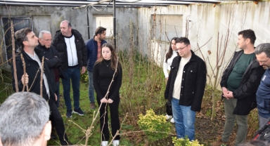 Samsun, Ordu ve Giresun’da Kahverengi Kokarca Mücadelesi İçin Bilgilendirme Toplantısı Yapıldı