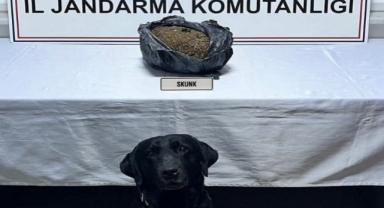 Anadolu Otoyolu'nda aracında uyuşturucuyla yakalanan şüpheli tutuklandı