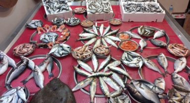 Giresun'da balık fiyatları bugün ne kadar?