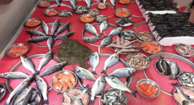 Giresun'da balık fiyatları bugün ne kadar?