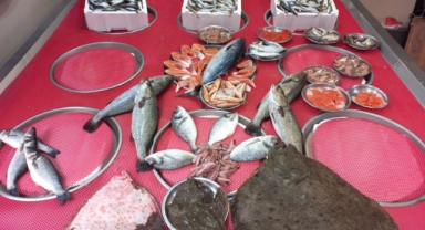 Giresun'da balık fiyatları bugün ne kadar?