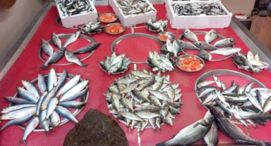 Giresun'da balık fiyatları bugün ne kadar?