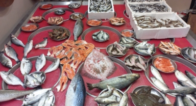 Giresun'da Balık Fiyatları Bugün Ne Kadar? Hamsi Kaç TL?