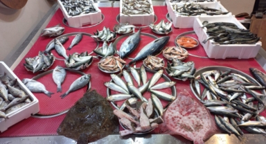 Giresun'da Balık Fiyatları Bugün Ne Kadar? Hamsi Kaç TL?