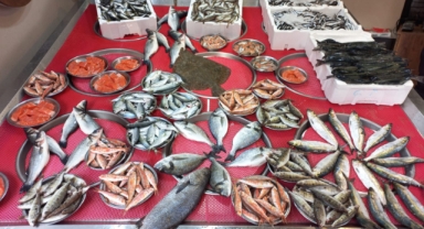 Giresun'da Balık Fiyatları Bugün Ne Kadar? Hamsi Kaç TL?
