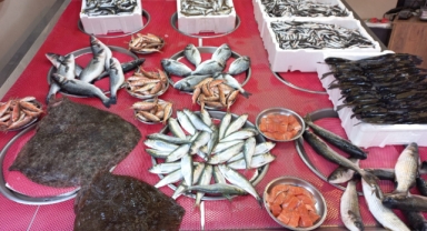 Giresun'da Balık Fiyatları Bugün Ne Kadar? Hamsi Kaç TL?