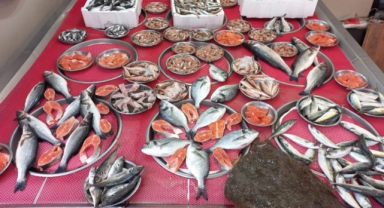 Giresun'da Balık Fiyatları Bugün Ne Kadar? Hamsi Kaç TL?