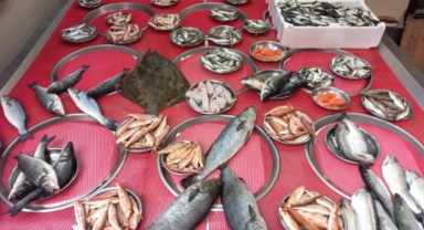 Giresun'da Balık Fiyatları Bugün Ne Kadar? Hamsi Kaç TL?
